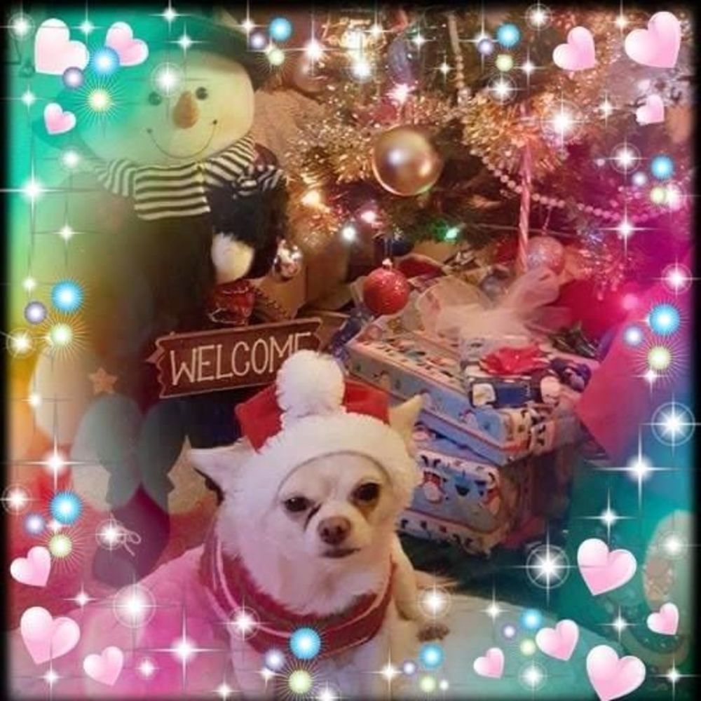 Meet your Posher, Tammy